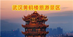 免费看操小逼逼视频软件